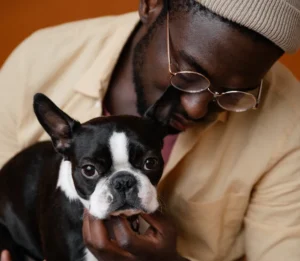 article thumb 3 optimized